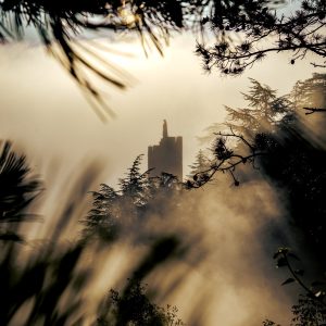 104 - La Vierge à l'aurore